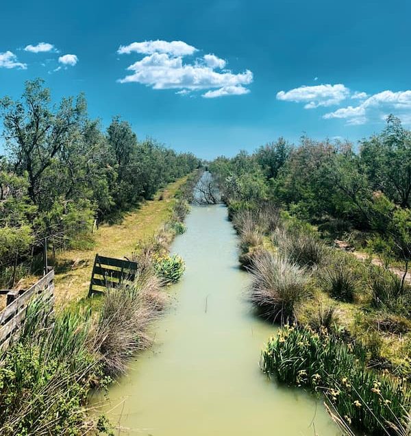 Paysage en Camargue proche du camping