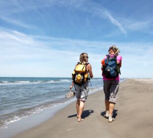 Randonnee en Camargue sur la plage - Camping l'Arlesienne