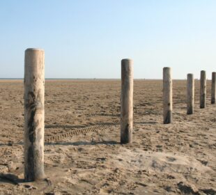 Plage Napoléon - Plus belles plages de Camargue - Camping Camargue l'Arlesienne